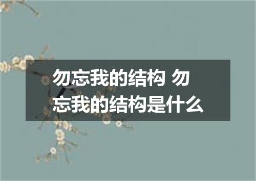 勿忘我的结构 勿忘我的结构是什么