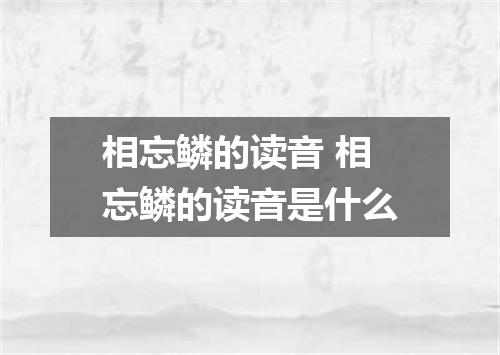 相忘鳞的读音 相忘鳞的读音是什么