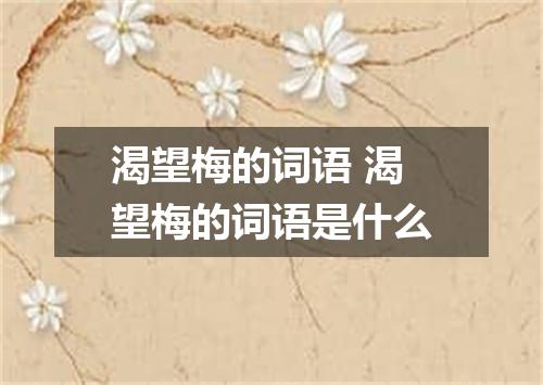 渴望梅的词语 渴望梅的词语是什么