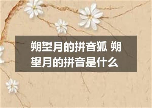朔望月的拼音狐 朔望月的拼音是什么