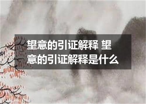 望意的引证解释 望意的引证解释是什么