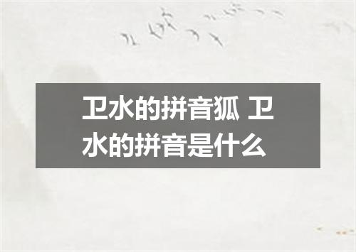 卫水的拼音狐 卫水的拼音是什么