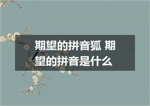 期望的拼音狐 期望的拼音是什么