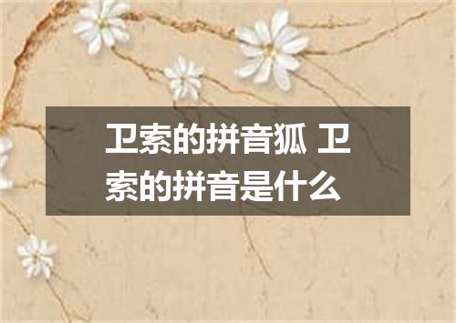 卫索的拼音狐 卫索的拼音是什么