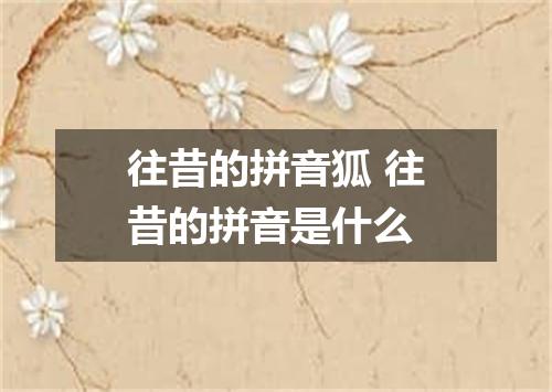 往昔的拼音狐 往昔的拼音是什么