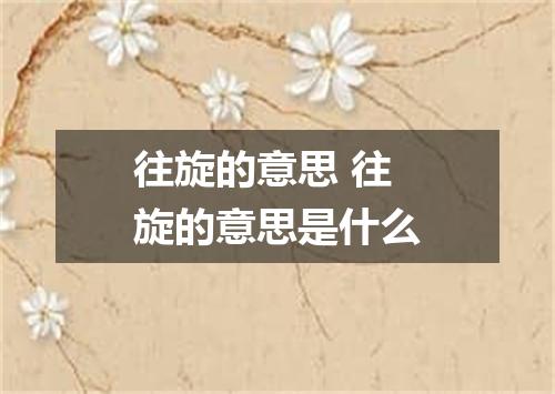 往旋的意思 往旋的意思是什么