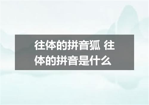 往体的拼音狐 往体的拼音是什么