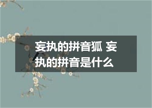 妄执的拼音狐 妄执的拼音是什么