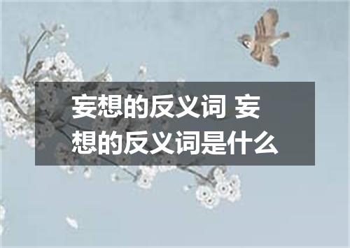 妄想的反义词 妄想的反义词是什么