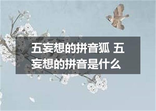 五妄想的拼音狐 五妄想的拼音是什么