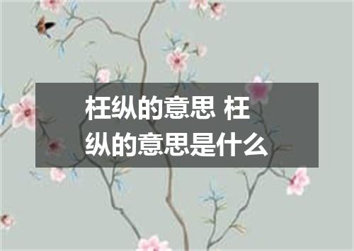 枉纵的意思 枉纵的意思是什么