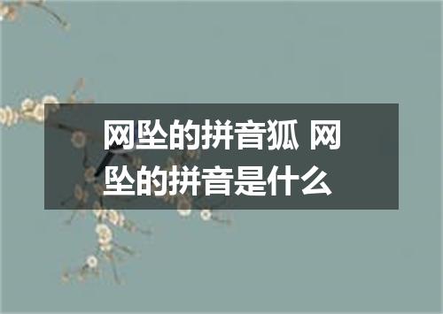 网坠的拼音狐 网坠的拼音是什么