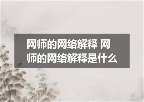 网师的网络解释 网师的网络解释是什么
