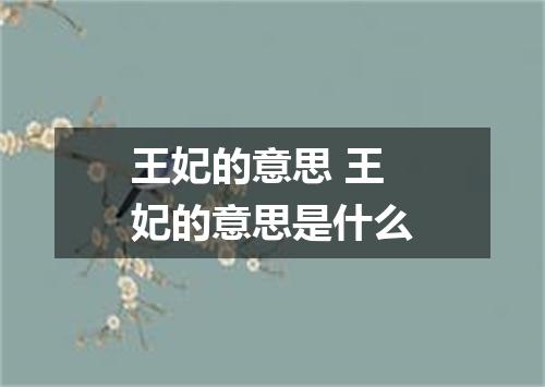 王妃的意思 王妃的意思是什么