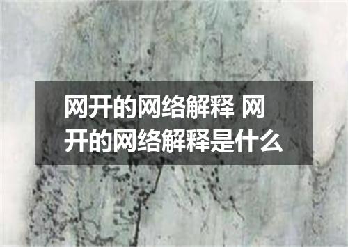 网开的网络解释 网开的网络解释是什么