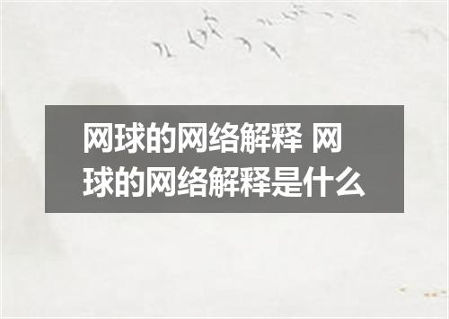 网球的网络解释 网球的网络解释是什么