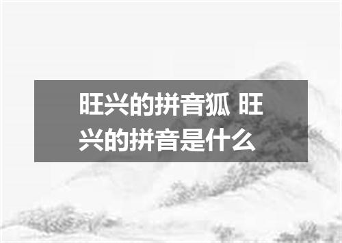 旺兴的拼音狐 旺兴的拼音是什么