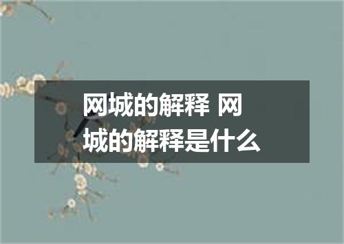 网城的解释 网城的解释是什么