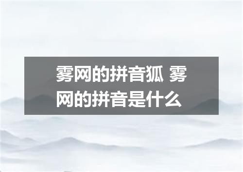 雾网的拼音狐 雾网的拼音是什么