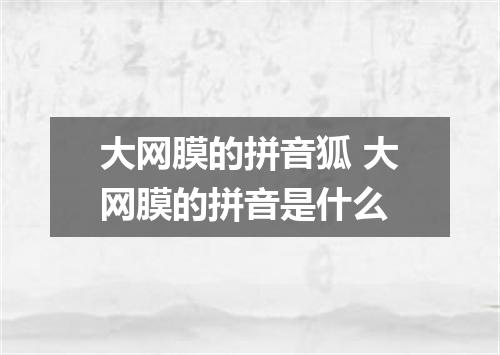 大网膜的拼音狐 大网膜的拼音是什么