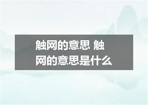 触网的意思 触网的意思是什么
