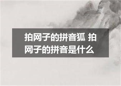 拍网子的拼音狐 拍网子的拼音是什么