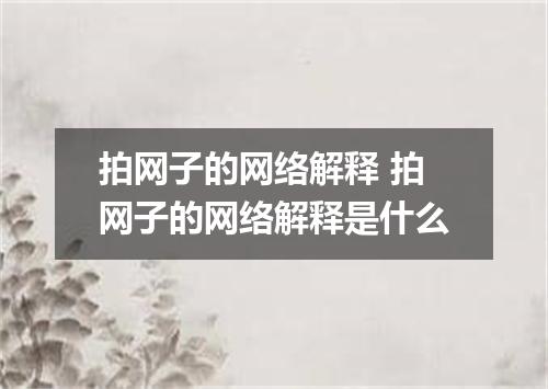 拍网子的网络解释 拍网子的网络解释是什么