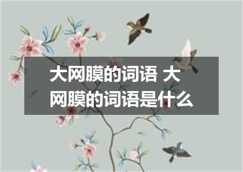 大网膜的词语 大网膜的词语是什么