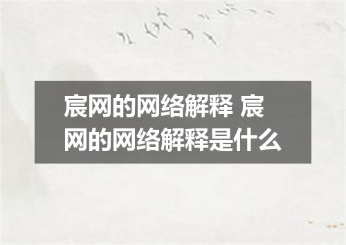 宸网的网络解释 宸网的网络解释是什么