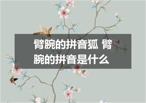 臂腕的拼音狐 臂腕的拼音是什么