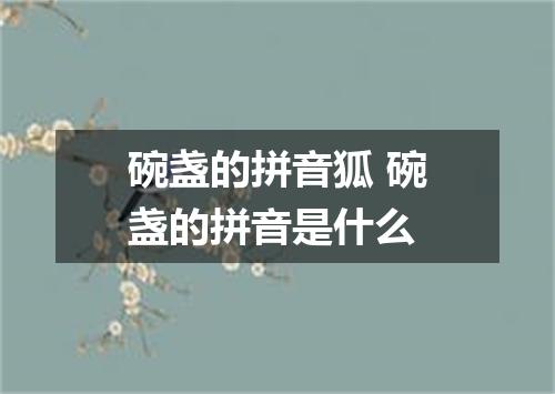 碗盏的拼音狐 碗盏的拼音是什么