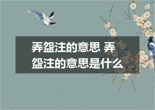 弄盌注的意思 弄盌注的意思是什么