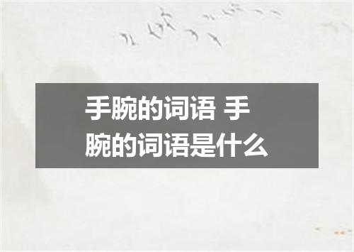 手腕的词语 手腕的词语是什么