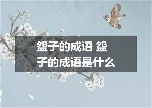 盌子的成语 盌子的成语是什么