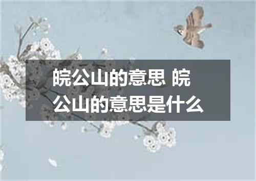 皖公山的意思 皖公山的意思是什么