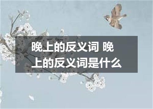 晚上的反义词 晚上的反义词是什么