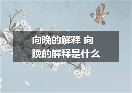 向晩的解释 向晩的解释是什么