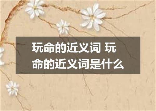 玩命的近义词 玩命的近义词是什么