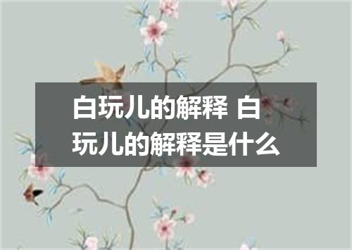 白玩儿的解释 白玩儿的解释是什么