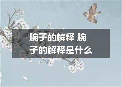 腕子的解释 腕子的解释是什么