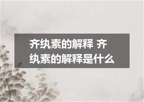 齐纨素的解释 齐纨素的解释是什么