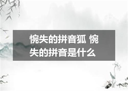 惋失的拼音狐 惋失的拼音是什么