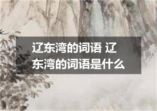辽东湾的词语 辽东湾的词语是什么