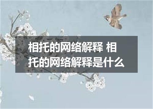 相托的网络解释 相托的网络解释是什么