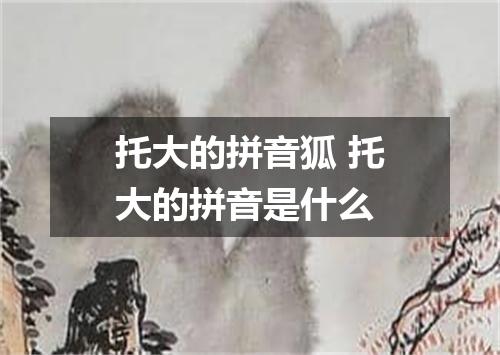 托大的拼音狐 托大的拼音是什么