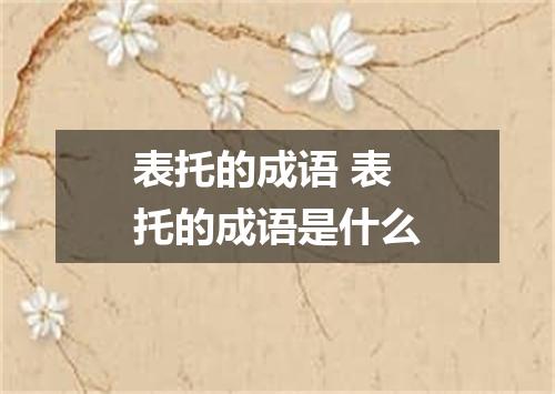 表托的成语 表托的成语是什么