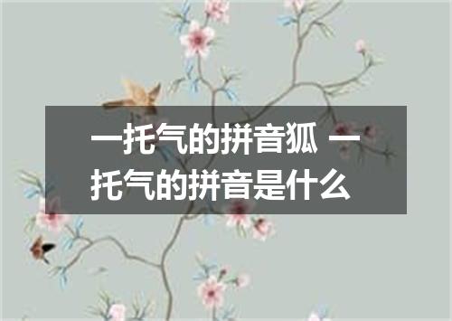 一托气的拼音狐 一托气的拼音是什么