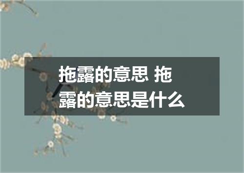 拖露的意思 拖露的意思是什么