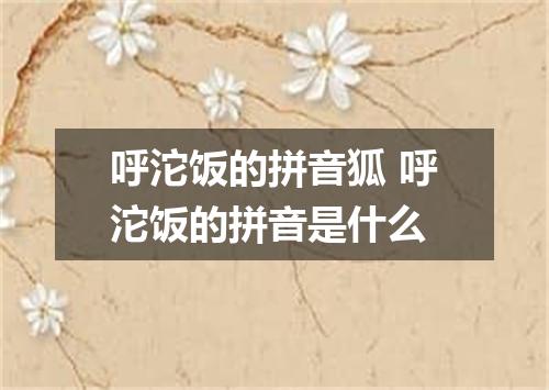 呼沱饭的拼音狐 呼沱饭的拼音是什么