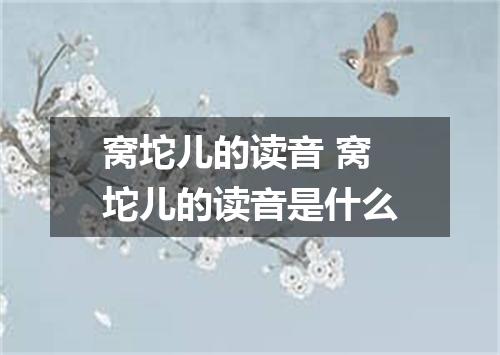 窝坨儿的读音 窝坨儿的读音是什么